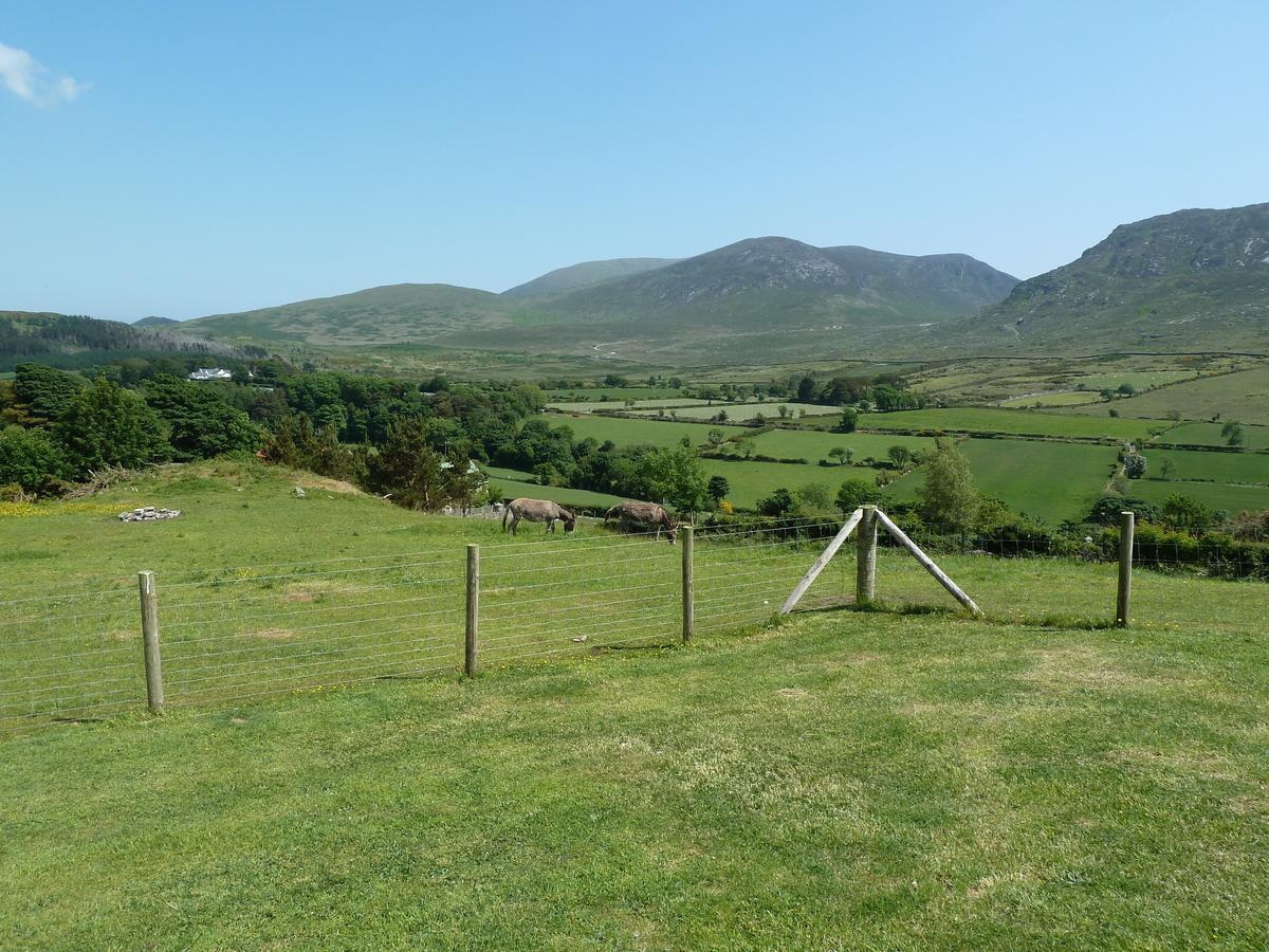 Hotel Gorse Hill Glamping à Newcastle  Extérieur photo